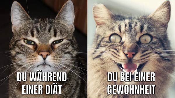 Diaet vs Gewohnheit